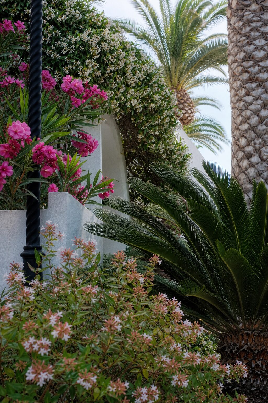 Lush Mediterranean garden with stone pathways and blooming flowers
