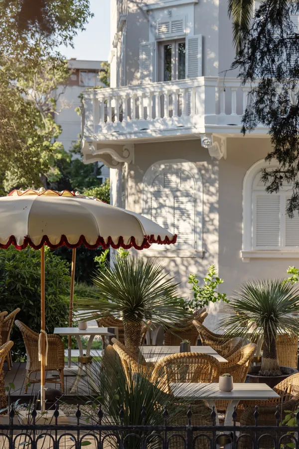Shaded terrace seating beneath the garden palms